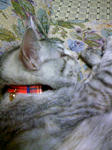 081016_041100.JPG