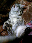 081207_054011.JPG