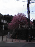 Image0551.jpg