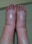 20101009_161223_0.jpg