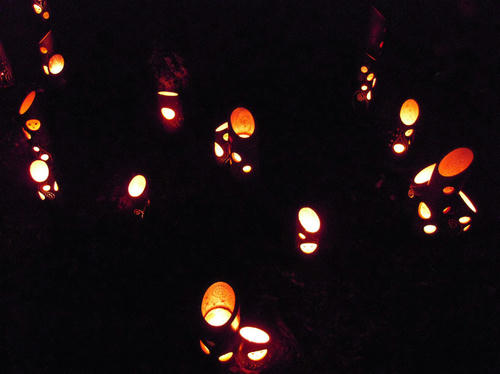 DSCN2127.JPG
