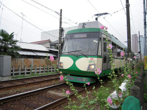 DSCN2188.jpg
