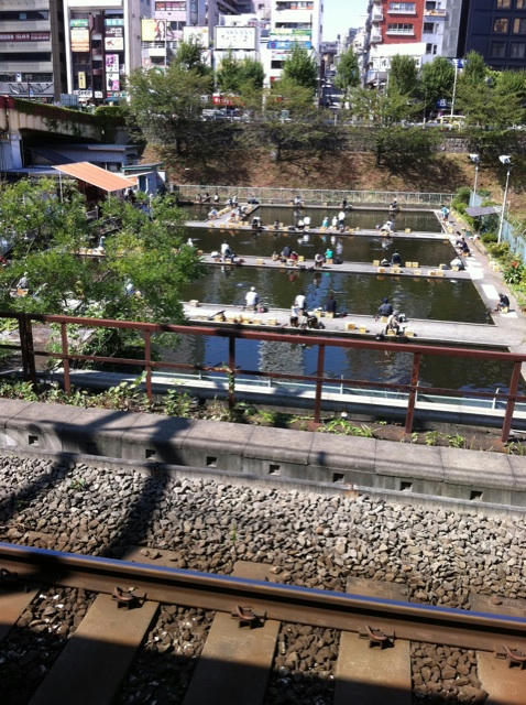 405783959.jpg