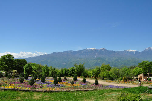 DSC_0003.JPG
