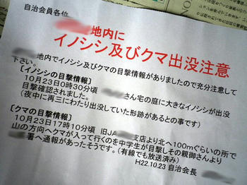 出没注意