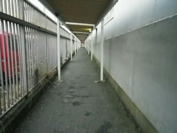 通路