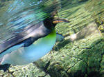 20070701a.jpg