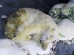 20070701b.jpg