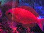20070701c.jpg