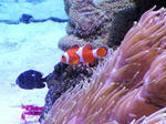 20070701d.jpg
