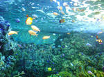 20070701e.jpg