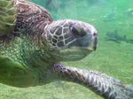 20070701f.jpg