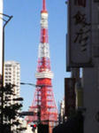 20071113.jpg