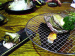 20071115.jpg