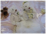 20100322b.jpg