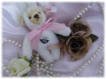 20100322d.jpg