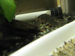 IMG_1612.JPG
