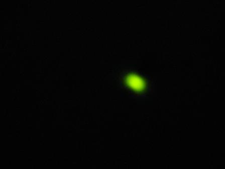 IMG_0059.JPG