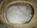 PB300142.JPG