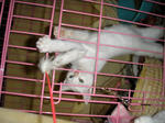 PC050056.JPG