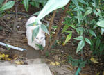 PC120045.JPG