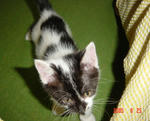 DSC01958.jpg