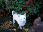PC290017.jpg