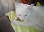 P2010114.JPG