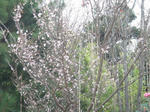 PC100509.JPG