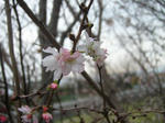 PC100507.JPG