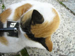 PC150527.JPG