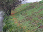 P9231738.JPG