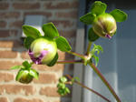PB051803.JPG