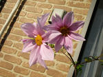 PB111808.JPG