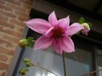 PB081806.JPG