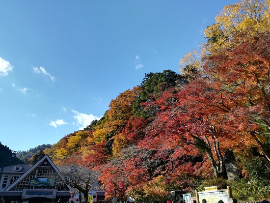 高尾山紅葉