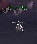 kill2.JPG