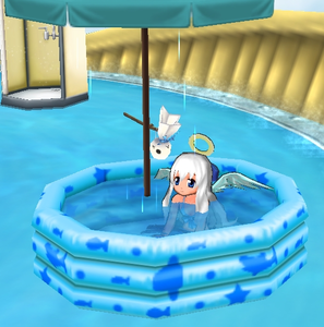 081.png