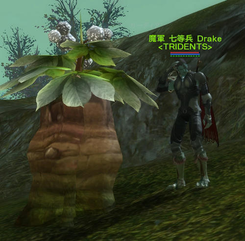 Aion0009.jpg