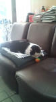 20120107124516.jpg