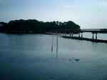 matsushima1.JPG