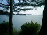 matsushima3.JPG