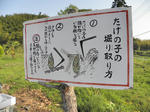 7d34cf21.jpg