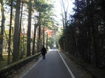 PA290007.JPG