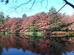 PA290033.JPG