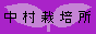 nasap.gif