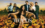 WEEDS-2.jpeg