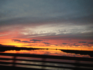 11091914.gif