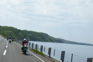 1205206.gif