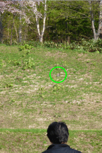 12052030.gif